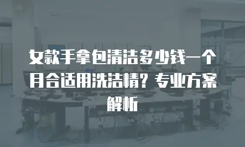 女款手拿包清洁多少钱一个月合适用洗洁精？专业方案解析