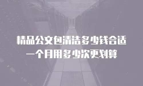 精品公文包清洁多少钱合适一个月用多少次更划算