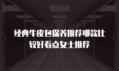 经典牛皮包保养推荐哪款比较好看点女士推荐