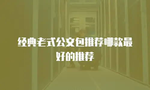 经典老式公文包推荐哪款最好的推荐