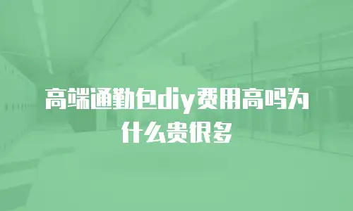 高端通勤包diy费用高吗为什么贵很多