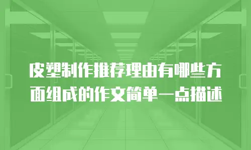 皮塑制作推荐理由有哪些方面组成的作文简单一点描述