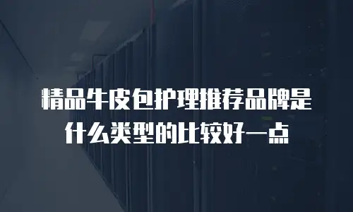 精品牛皮包护理推荐品牌是什么类型的比较好一点