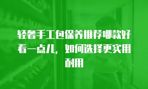 轻奢手工包保养推荐哪款好看一点儿，如何选择更实用耐用