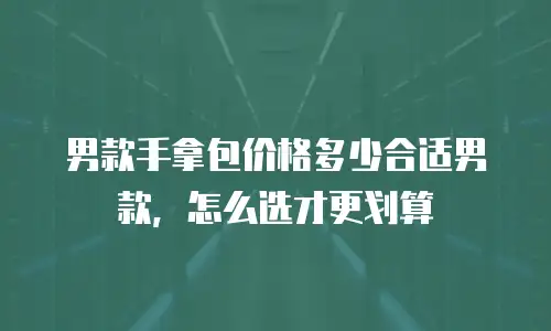 男款手拿包价格多少合适男款，怎么选才更划算