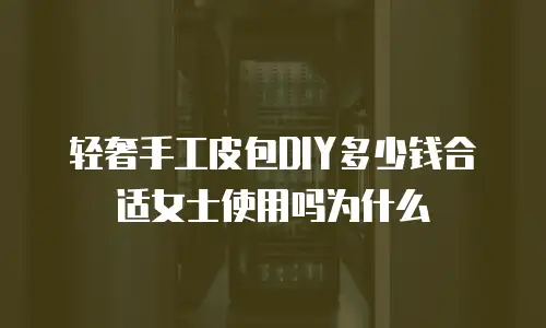 轻奢手工皮包DIY多少钱合适女士使用吗为什么