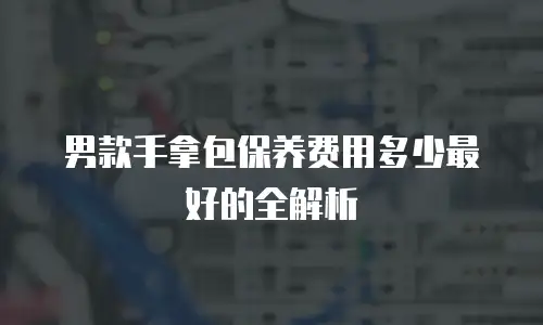 男款手拿包保养费用多少最好的全解析