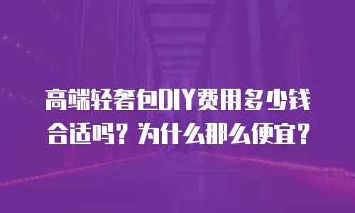高端轻奢包DIY费用多少钱合适吗？为什么那么便宜？