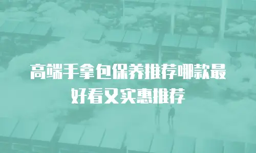 高端手拿包保养推荐哪款最好看又实惠推荐
