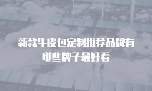 新款牛皮包定制推荐品牌有哪些牌子最好看