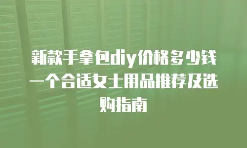 新款手拿包diy价格多少钱一个合适女士用品推荐及选购指南