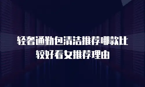 轻奢通勤包清洁推荐哪款比较好看女推荐理由
