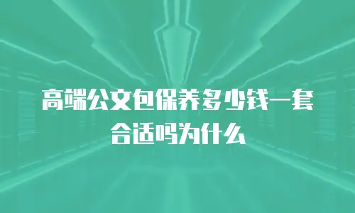 高端公文包保养多少钱一套合适吗为什么