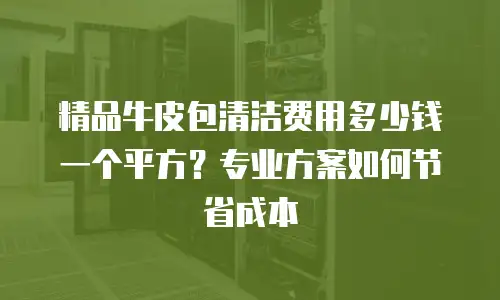 精品牛皮包清洁费用多少钱一个平方？专业方案如何节省成本