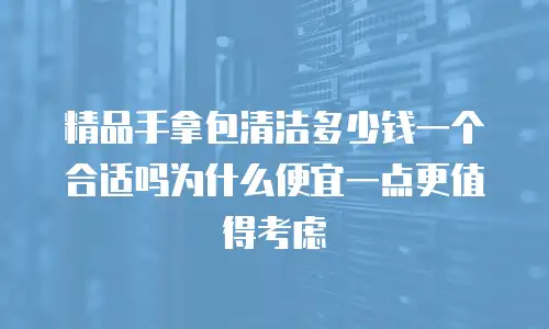精品手拿包清洁多少钱一个合适吗为什么便宜一点更值得考虑