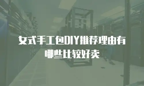 女式手工包DIY推荐理由有哪些比较好卖