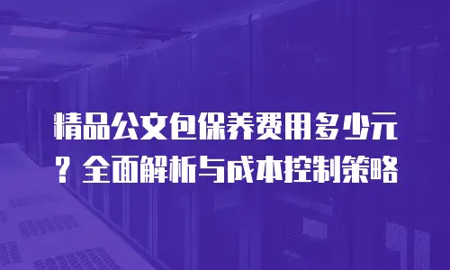 精品公文包保养费用多少元？全面解析与成本控制策略