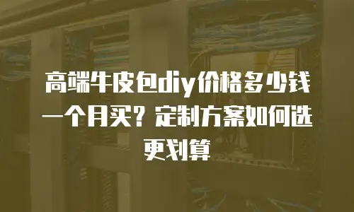 高端牛皮包diy价格多少钱一个月买？定制方案如何选更划算