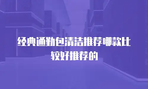 经典通勤包清洁推荐哪款比较好推荐的