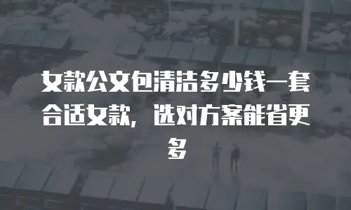 女款公文包清洁多少钱一套合适女款，选对方案能省更多