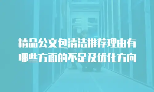 精品公文包清洁推荐理由有哪些方面的不足及优化方向