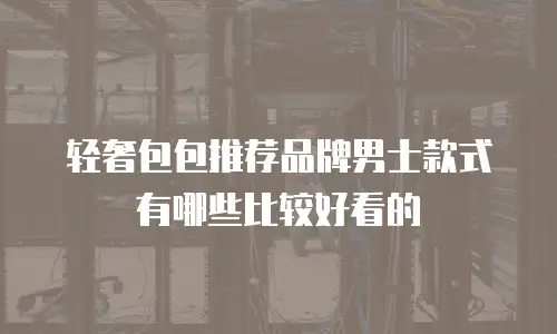 轻奢包包推荐品牌男士款式有哪些比较好看的