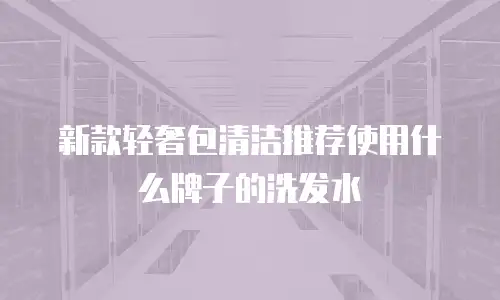 新款轻奢包清洁推荐使用什么牌子的洗发水