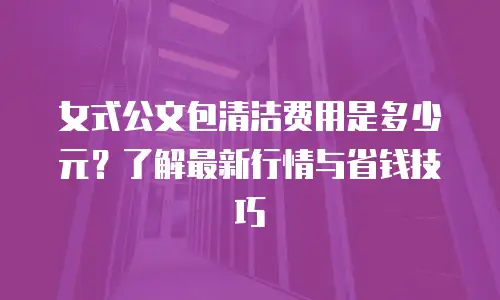 女式公文包清洁费用是多少元？了解最新行情与省钱技巧