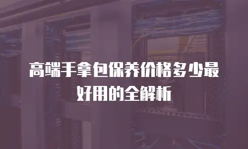 高端手拿包保养价格多少最好用的全解析