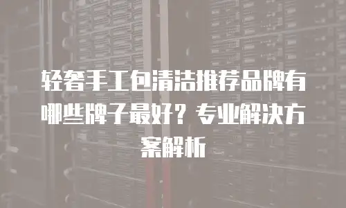 轻奢手工包清洁推荐品牌有哪些牌子最好？专业解决方案解析