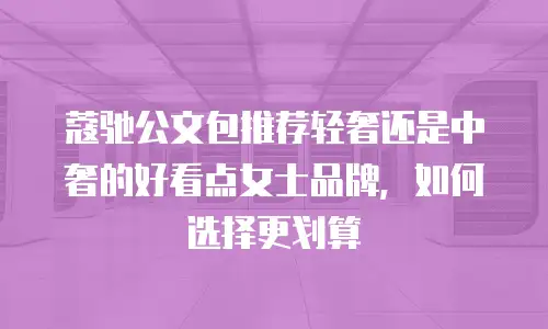 蔻驰公文包推荐轻奢还是中奢的好看点女士品牌，如何选择更划算