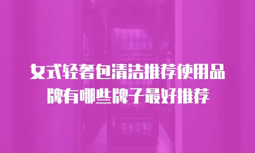 女式轻奢包清洁推荐使用品牌有哪些牌子最好推荐