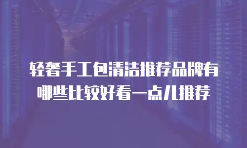 轻奢手工包清洁推荐品牌有哪些比较好看一点儿推荐