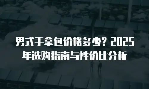 男式手拿包价格多少？2025年选购指南与性价比分析