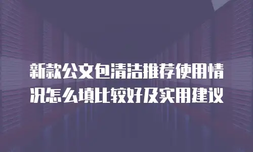 新款公文包清洁推荐使用情况怎么填比较好及实用建议