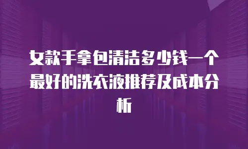 女款手拿包清洁多少钱一个最好的洗衣液推荐及成本分析