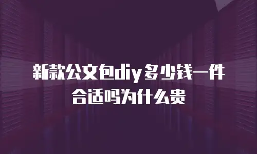 新款公文包diy多少钱一件合适吗为什么贵
