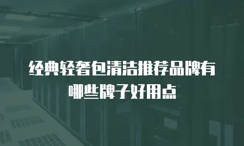 经典轻奢包清洁推荐品牌有哪些牌子好用点