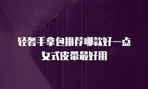 轻奢手拿包推荐哪款好一点女式皮带最好用