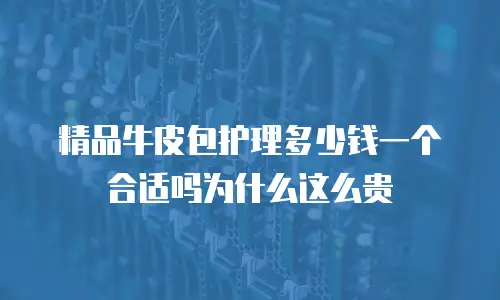 精品牛皮包护理多少钱一个合适吗为什么这么贵