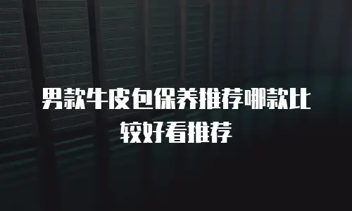 男款牛皮包保养推荐哪款比较好看推荐