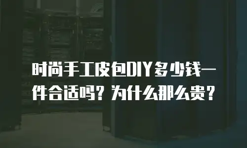 时尚手工皮包DIY多少钱一件合适吗？为什么那么贵？