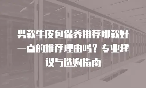 男款牛皮包保养推荐哪款好一点的推荐理由吗？专业建议与选购指南