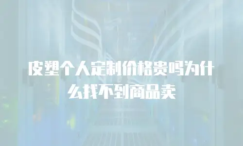 皮塑个人定制价格贵吗为什么找不到商品卖