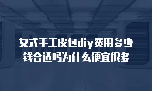 女式手工皮包diy费用多少钱合适吗为什么便宜很多
