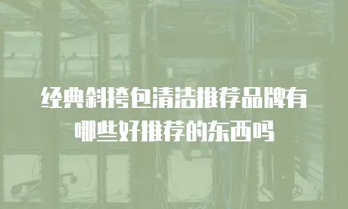 经典斜挎包清洁推荐品牌有哪些好推荐的东西吗