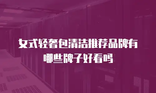 女式轻奢包清洁推荐品牌有哪些牌子好看吗