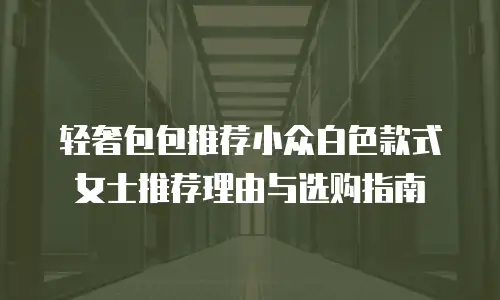 轻奢包包推荐小众白色款式女士推荐理由与选购指南