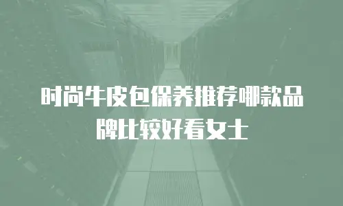 时尚牛皮包保养推荐哪款品牌比较好看女士