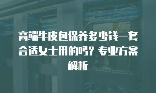 高端牛皮包保养多少钱一套合适女士用的吗？专业方案解析